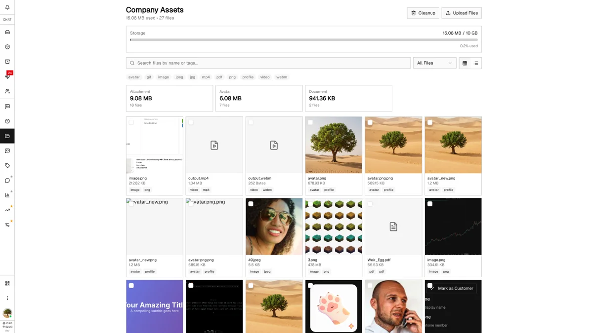 Assets view showing search bar, category dropdown, tag filter pills, and grid/list toggle