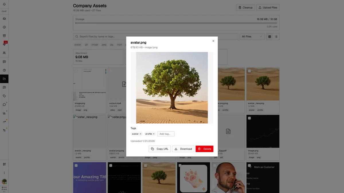 Asset preview dialog showing image, tags, file metadata, and Copy URL, Download, Delete buttons